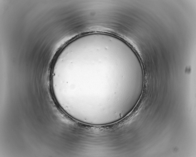 X0000090460987200708102107