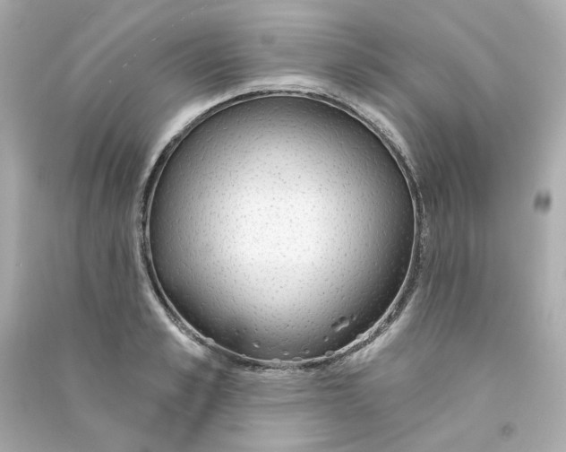 X0000090460989200708102107