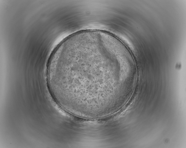 X0000090460990200708102107