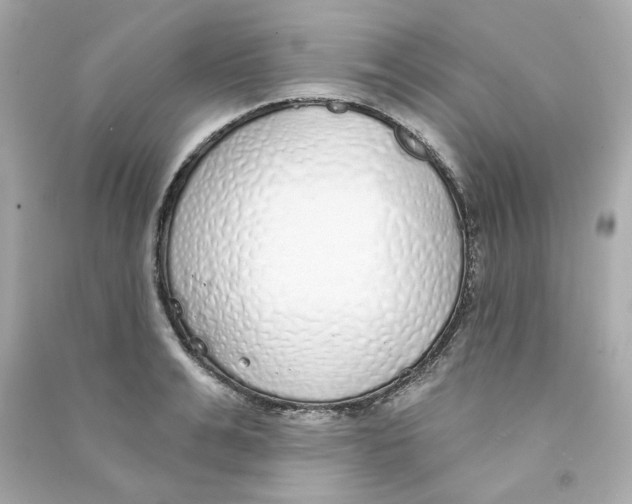 X0000090460991200708102107