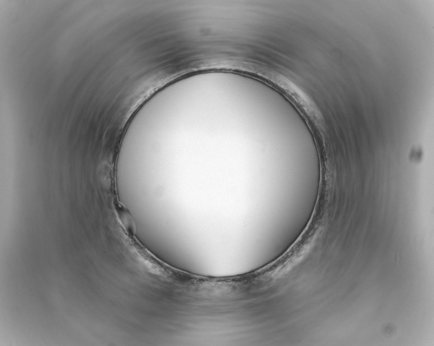 X0000090460993200708102107
