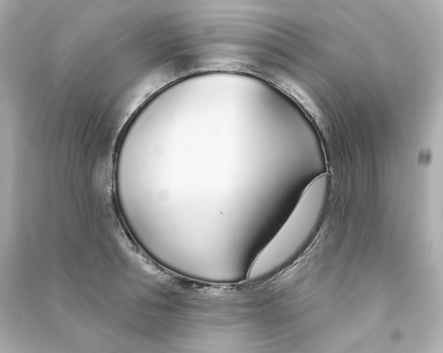 X0000090460994200708102107