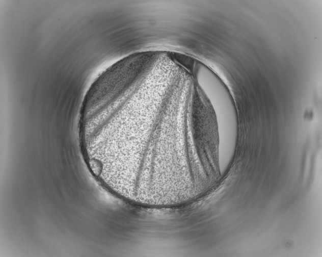 X0000090460995200708102107
