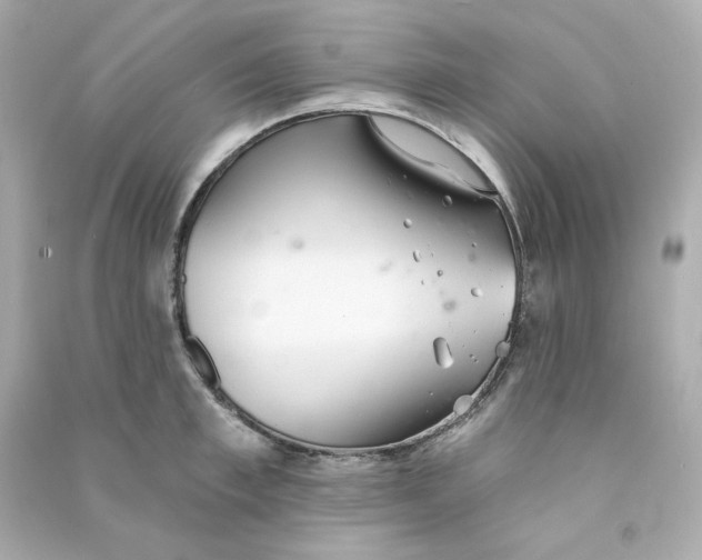 X0000090460997200708102107