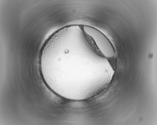 X0000090460998200708102107