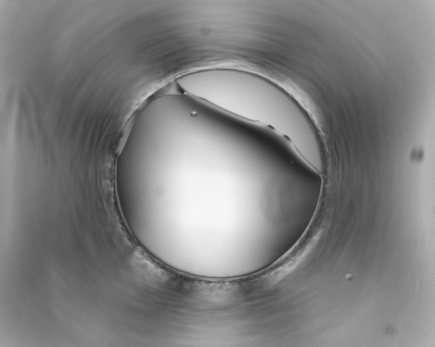 X0000090461001200708102107
