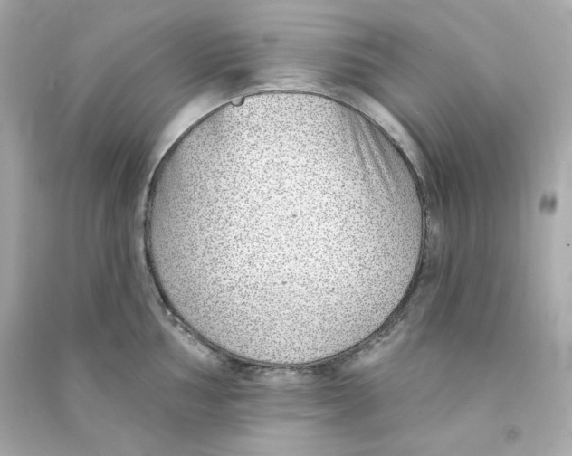 X0000090461002200708102107