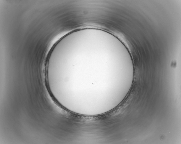 X0000090461003200708102107