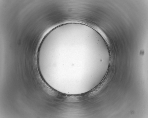 X0000090461004200708102107