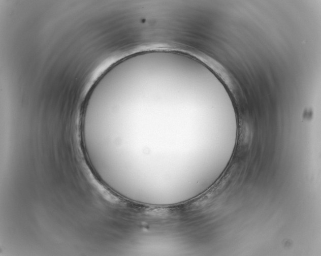 X0000090461006200708102107