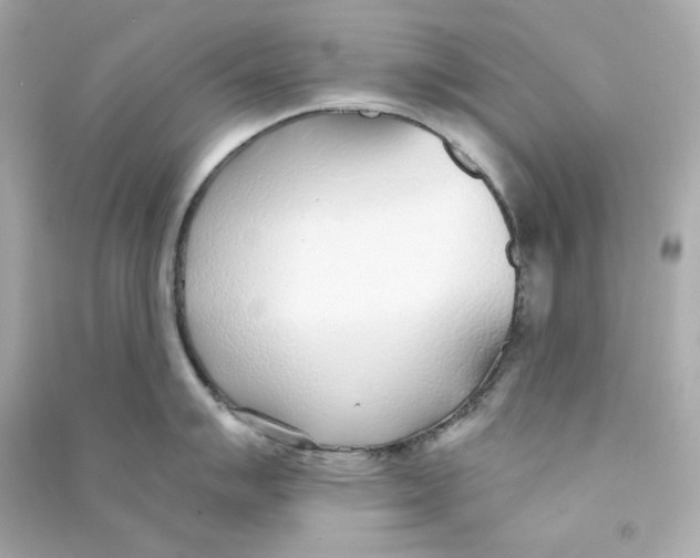 X0000090461007200708102107
