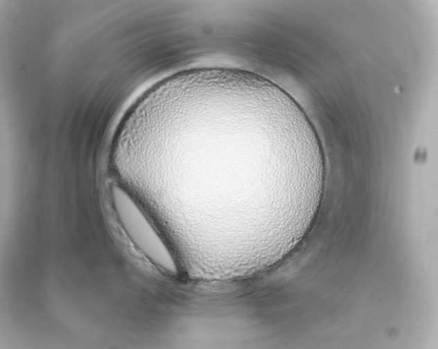 X0000090461008200708102107
