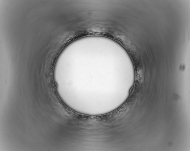 X0000090461009200708102106