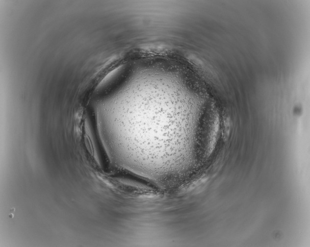 X0000090461010200708102106