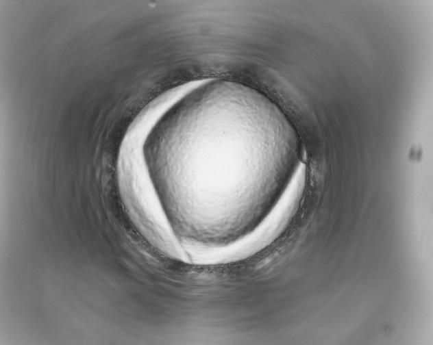 X0000090461011200708102106