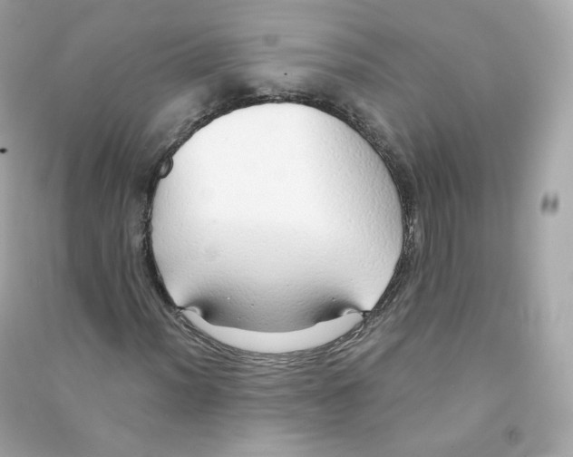 X0000090461012200708102106