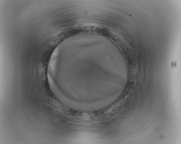 X0000090461013200708102106