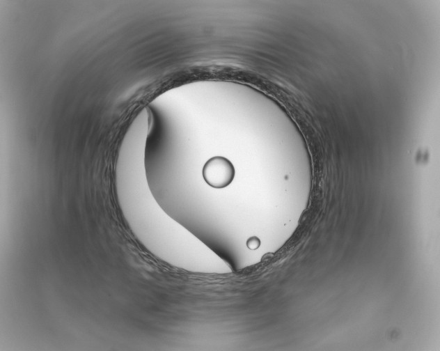 X0000090461014200708102106