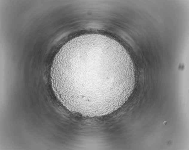 X0000090461015200708102106