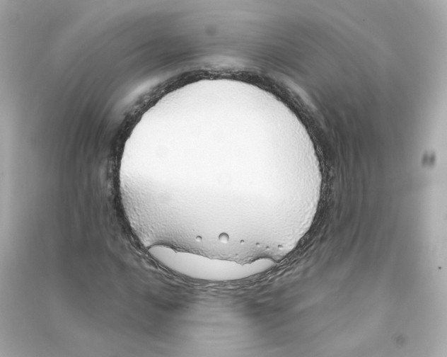 X0000090461016200708102106