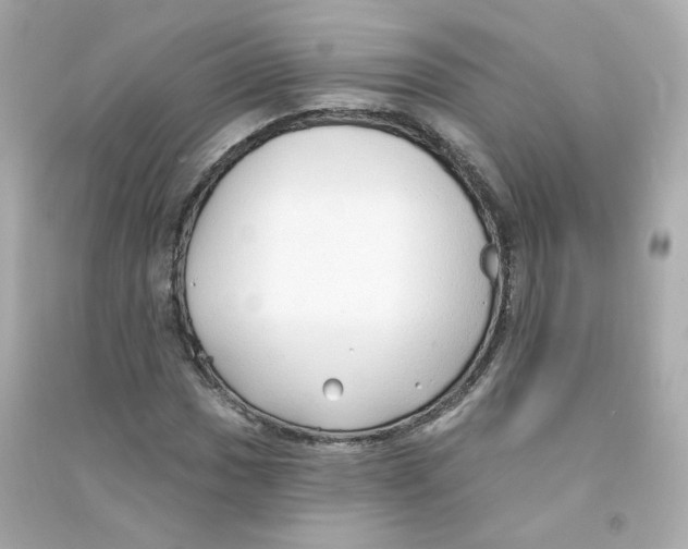 X0000090461017200708102106