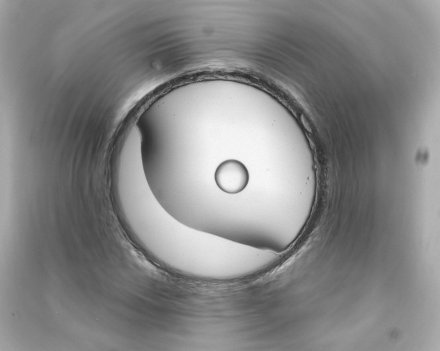 X0000090461018200708102106