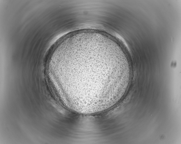 X0000090461019200708102106