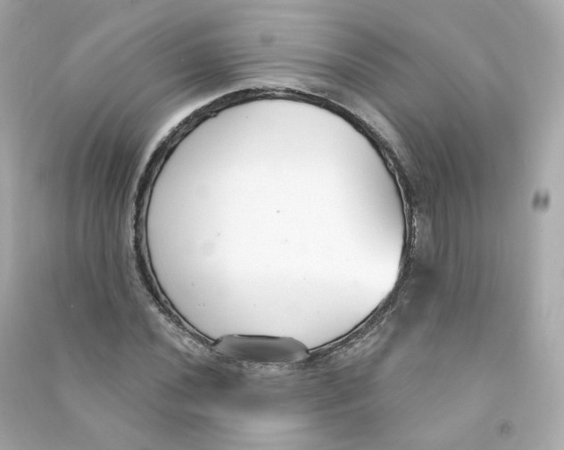 X0000090461020200708102106