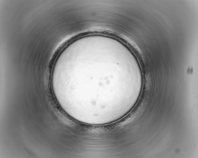 X0000090461021200708102106