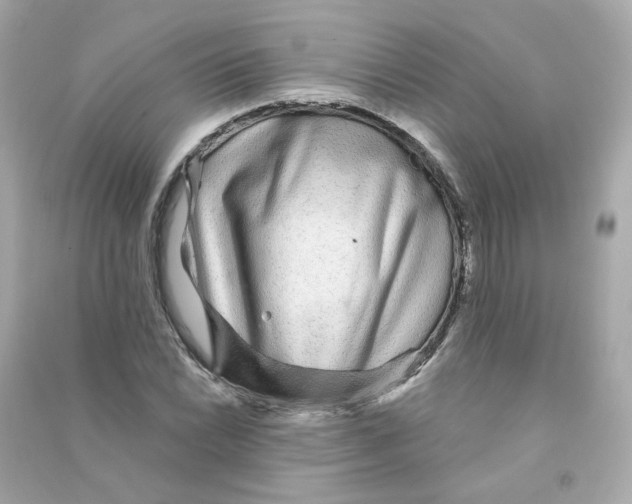 X0000090461022200708102106