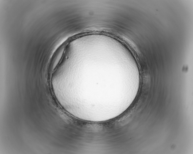 X0000090461023200708102106