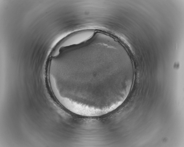 X0000090461024200708102106
