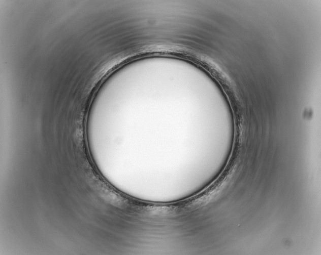 X0000090461025200708102106