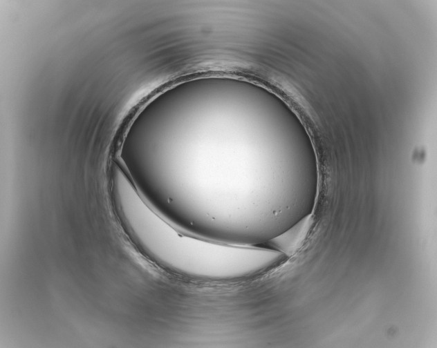 X0000090461026200708102107