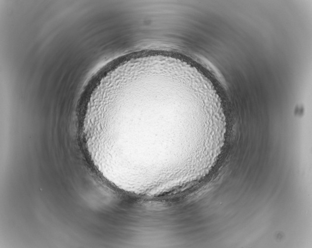 X0000090461027200708102107