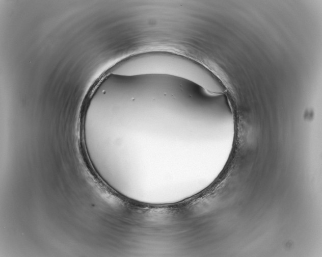 X0000090461028200708102107