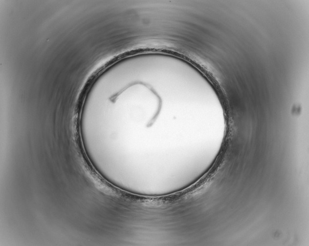 X0000090461029200708102107