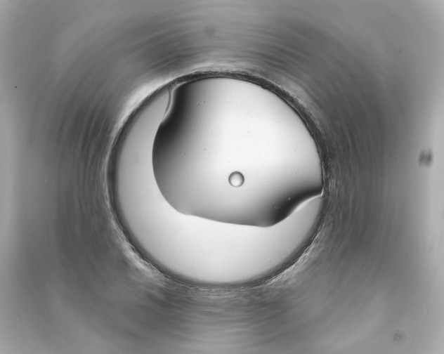 X0000090461030200708102107