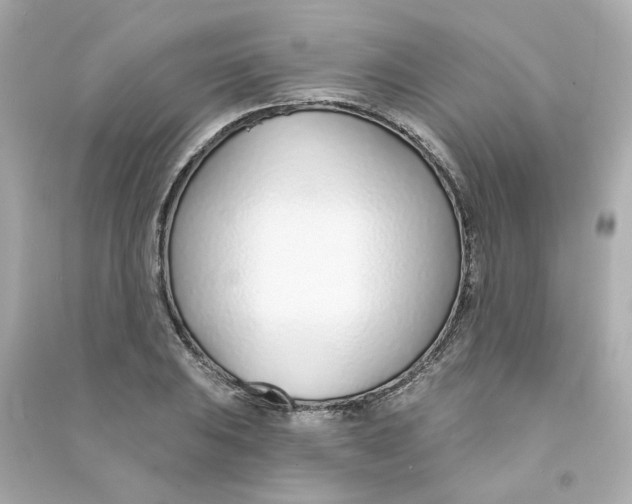 X0000090461031200708102107