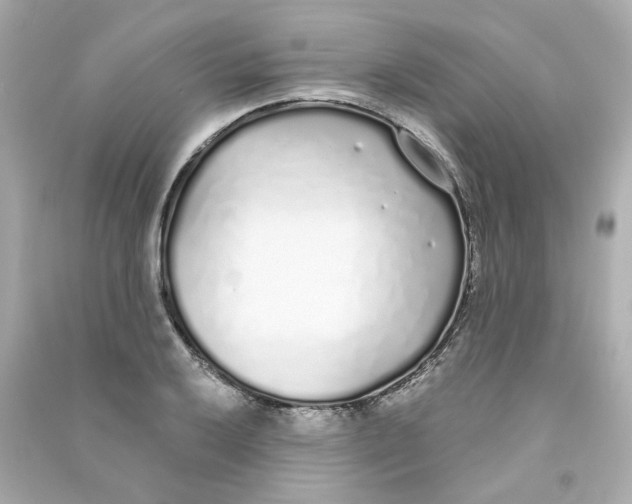 X0000090461032200708102107