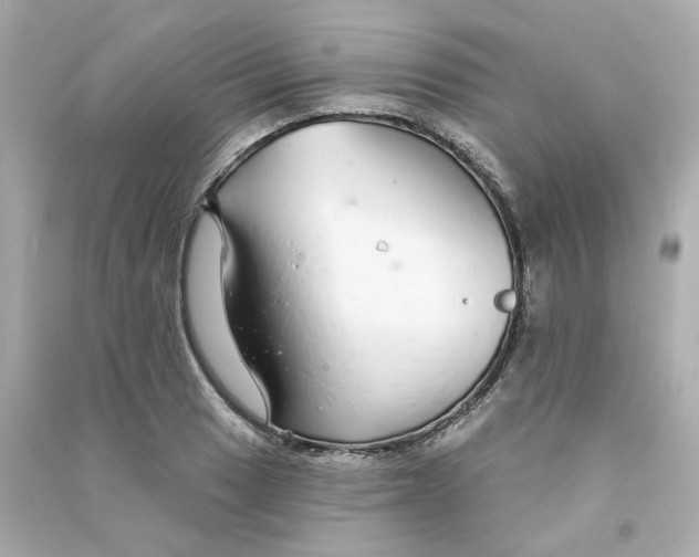 X0000090461033200708102107