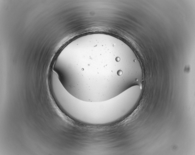 X0000090461034200708102107