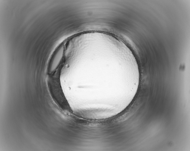 X0000090461035200708102107