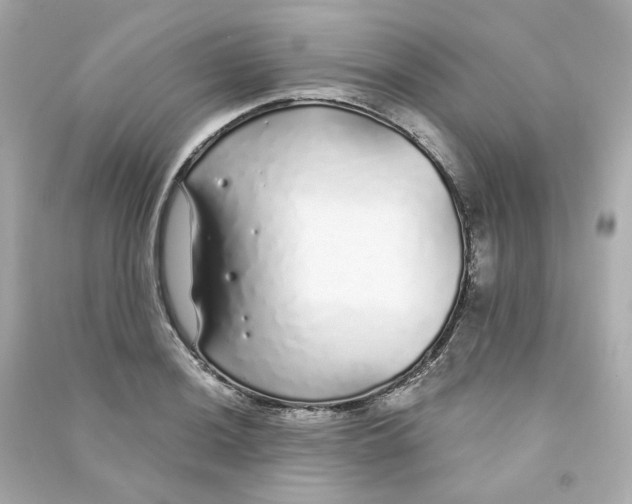 X0000090461036200708102107
