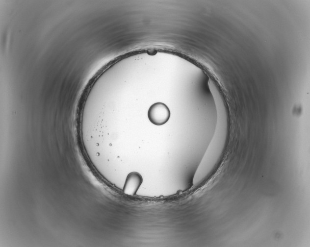 X0000090461038200708102107