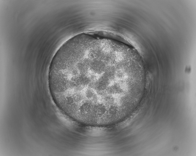 X0000090461039200708102107