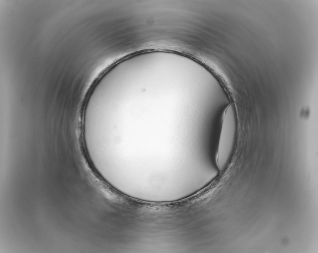 X0000090461040200708102107