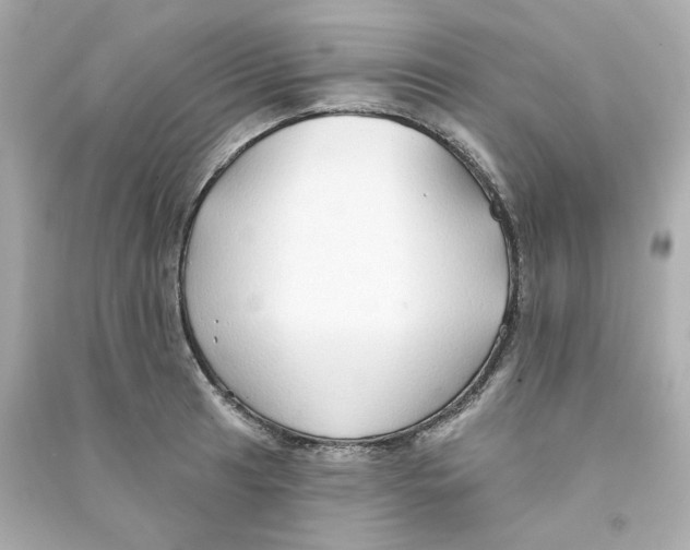 X0000090461041200708102107