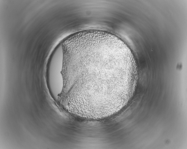 X0000090461043200708102107
