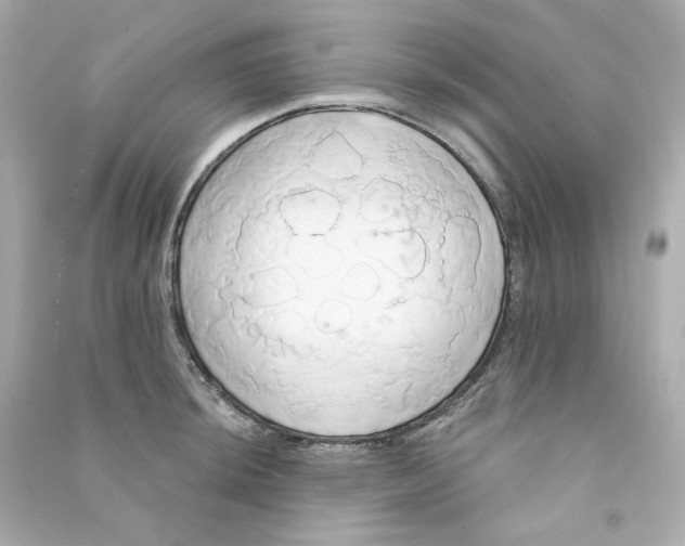 X0000090461044200708102107